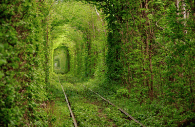 35+ Abandoned Places That Were Reclaimed by Nature