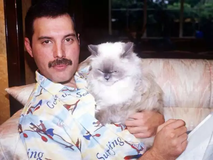 20 Fascinating Facts about Freddie Mercury. 408878