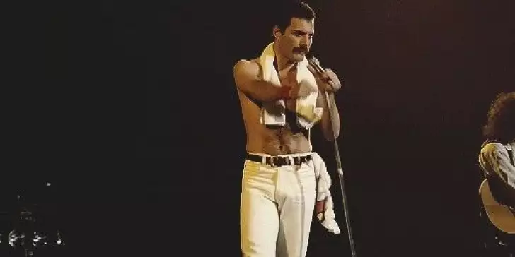 20 Fascinating Facts about Freddie Mercury. 784605